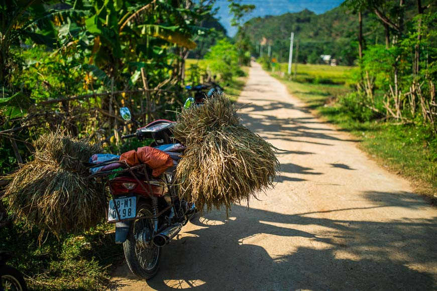 បទពិសោធន៍ដែលមិនគួររំលងក្នុងការធ្វើដំណើរទៅវៀតណាម