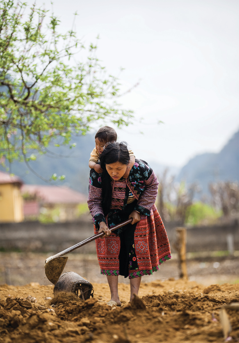 groupe ethnique hmong vietnam