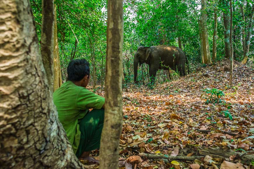 ทัวร์สีเขียวเวียดนาม