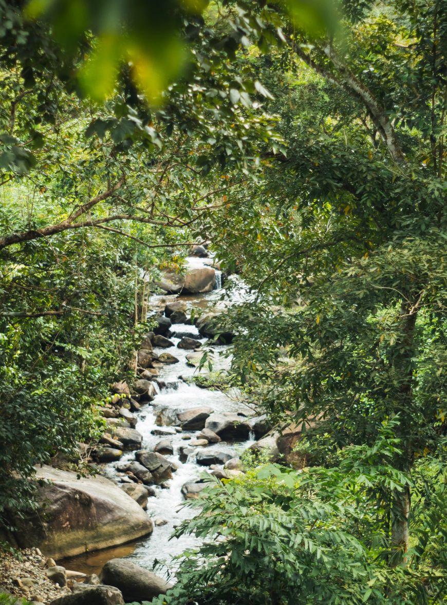 Şelaleya Binh Thuan