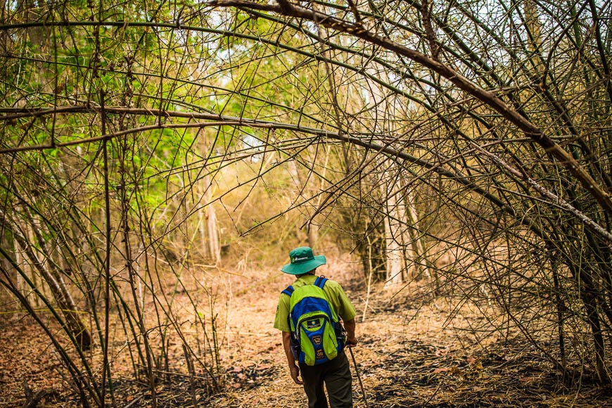 yok don nationalpark